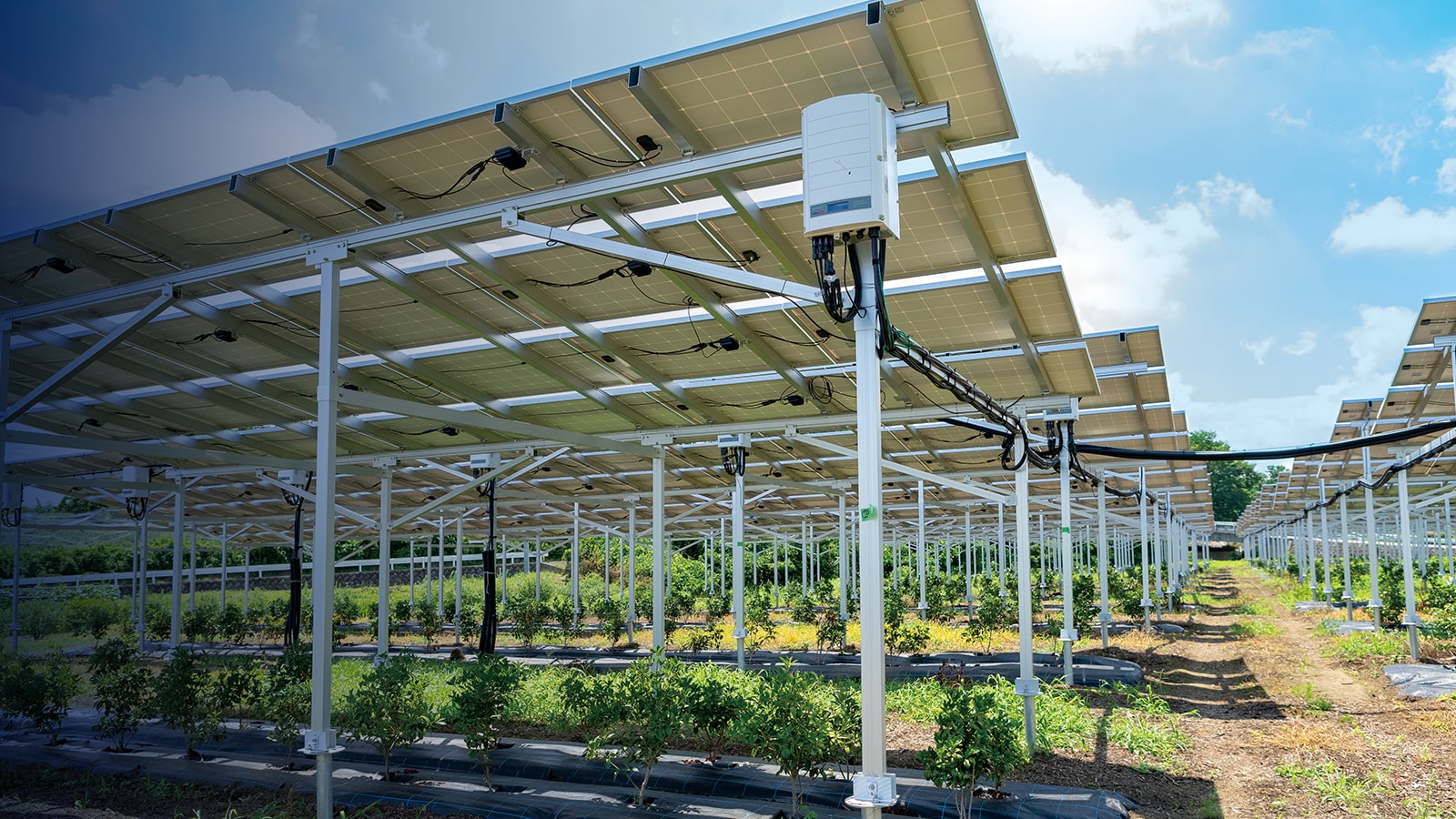 innovative-agriculture